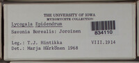 Image Associated With the Occurence